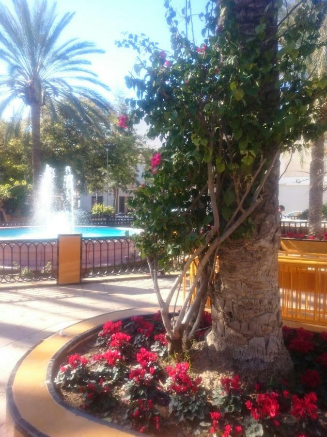 Apartments Torrevieja Exterior photo
